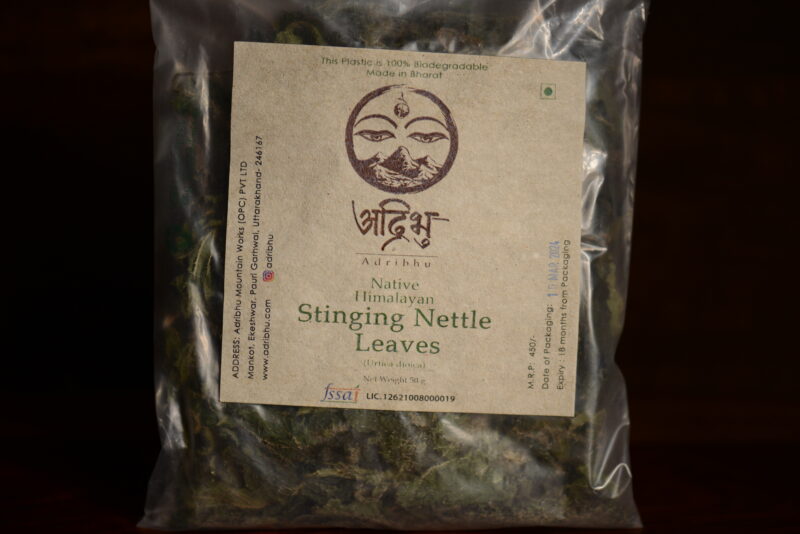 native Himalayan Stinging Nettle