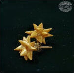 Star tops earring(juhi studs)