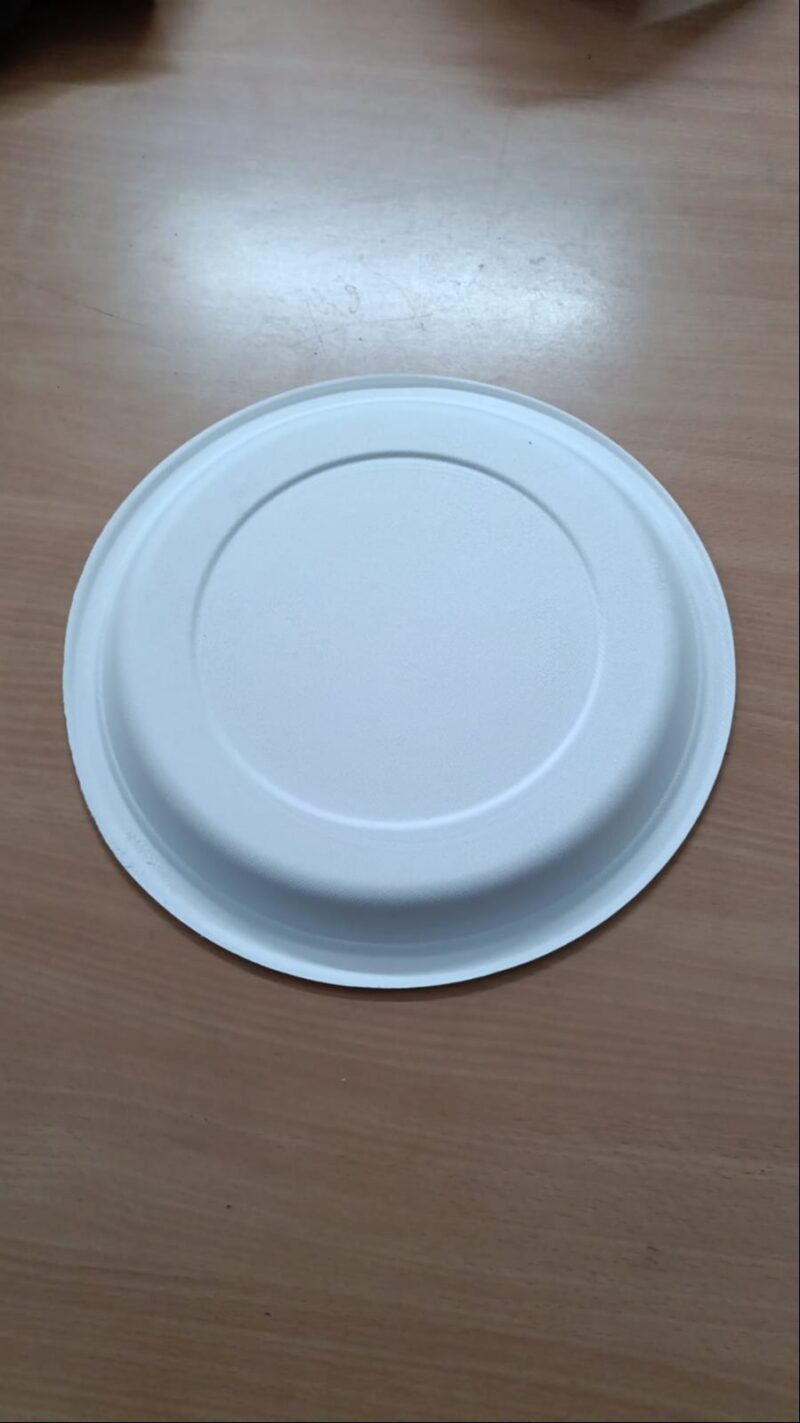 12in round plate - 25pcs/ pack - Image 2