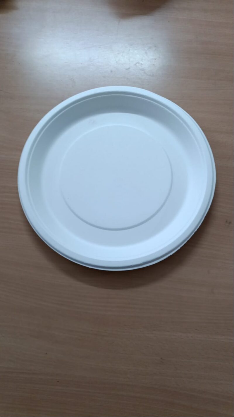 12in round plate - 25pcs/ pack