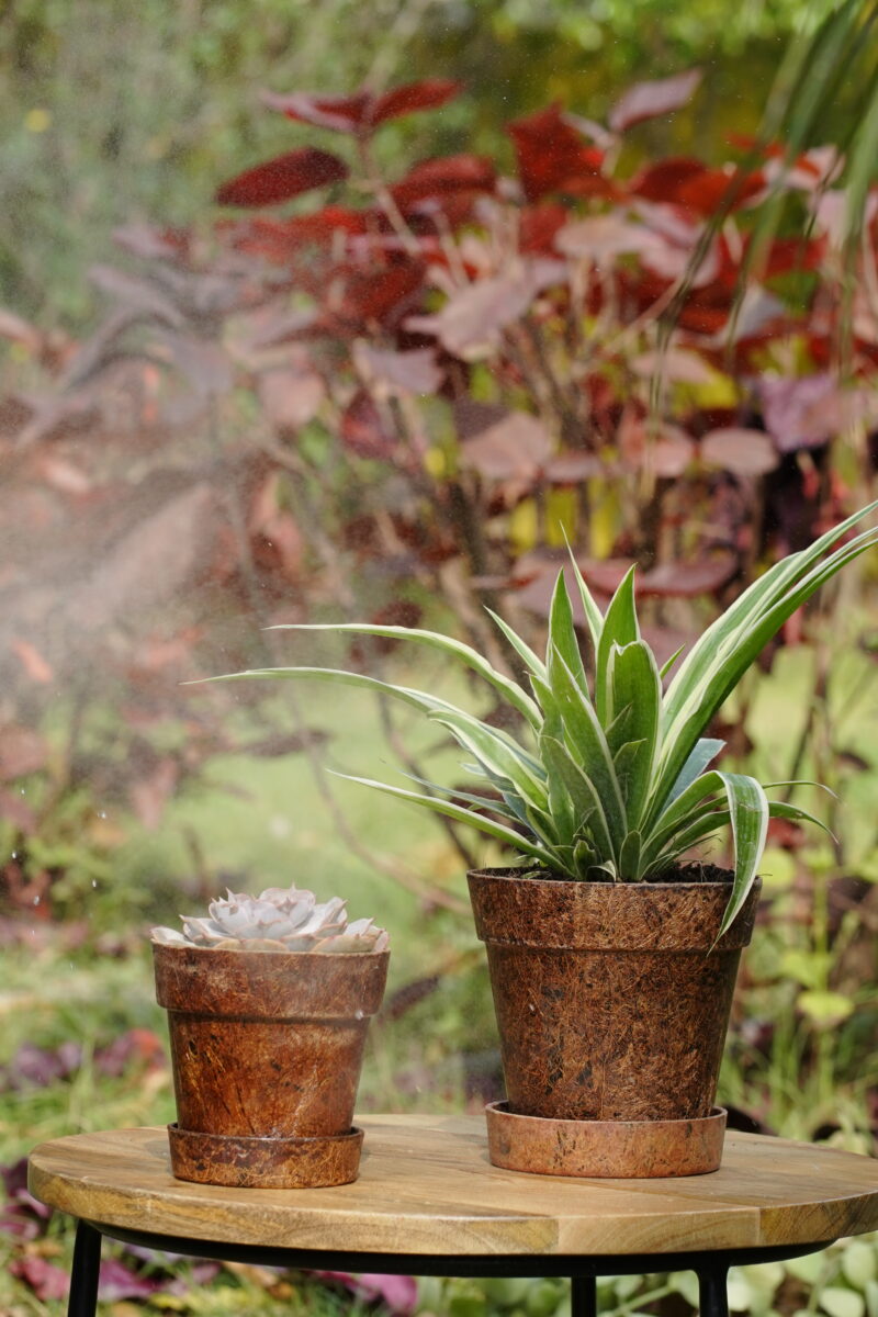 4-Inch Coir Pot (Set of 5) - Image 2