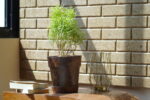 8-Inch Coir Pot (Set of 5)